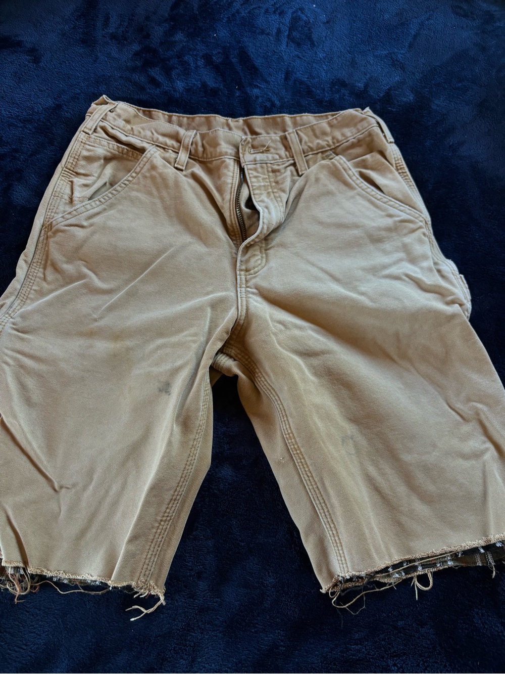 Carhartt Distressed Jorts